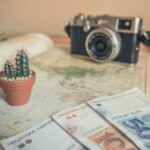 How much do you get paid for being a travel companion