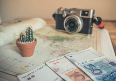 How much do you get paid for being a travel companion