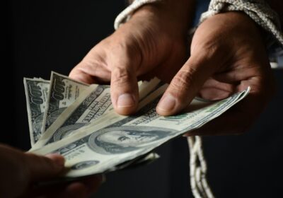 Is financial fraud a criminal case