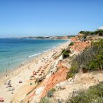 What are holiday frauds