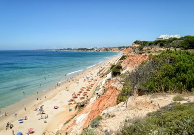 What are holiday frauds