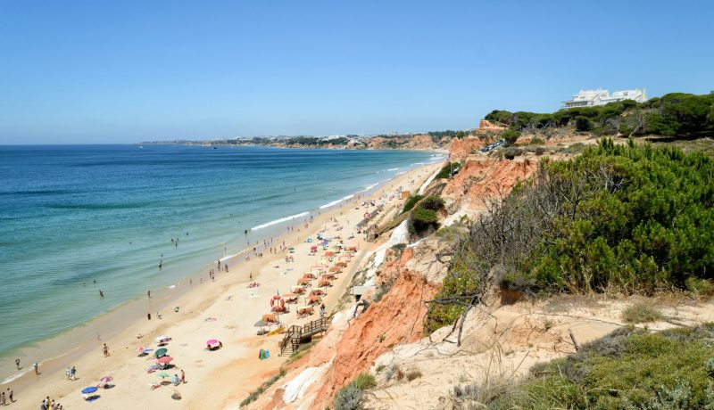 What are holiday frauds