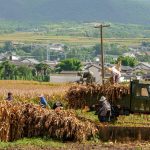 What do you mean by agricultural finance