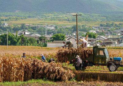 What do you mean by agricultural finance