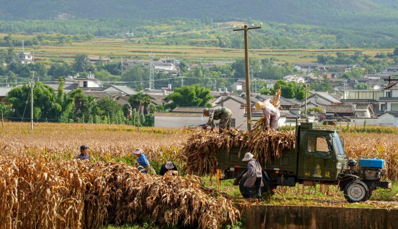 What do you mean by agricultural finance